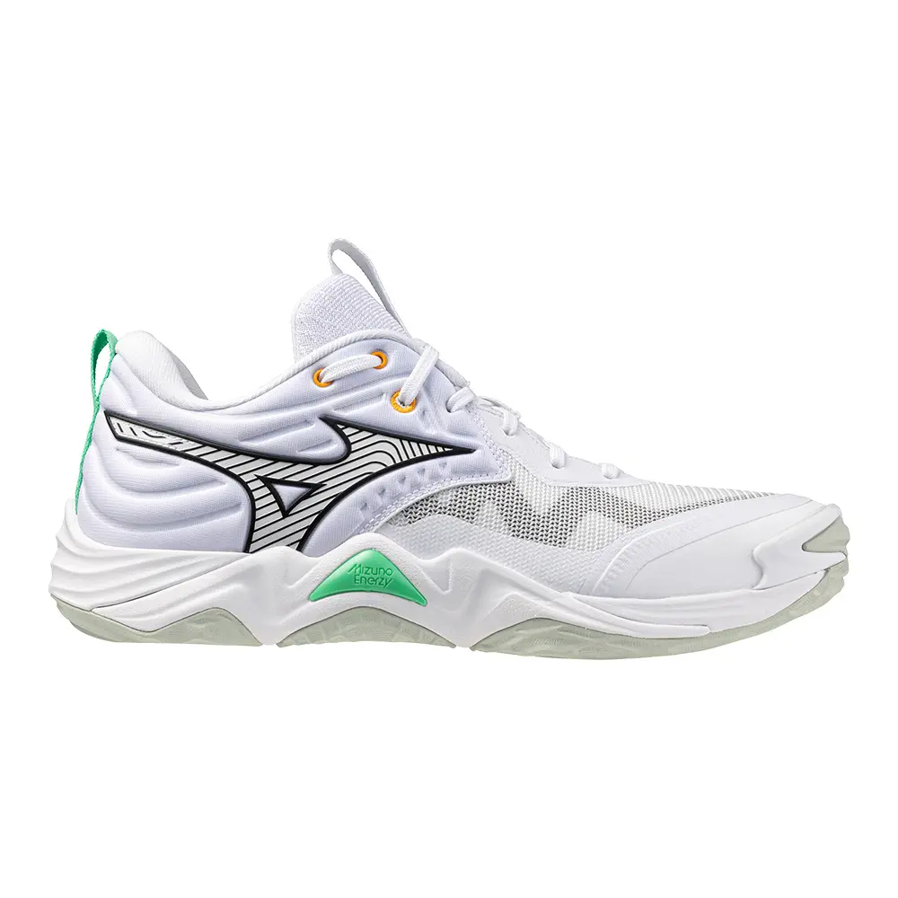 Chaussures indoor Mizuno Wave Momentum Elite