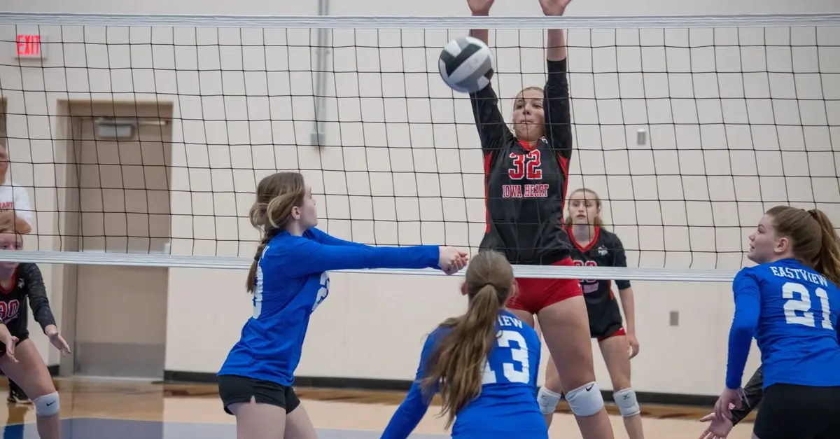 Analyse des dernières performances du volley français