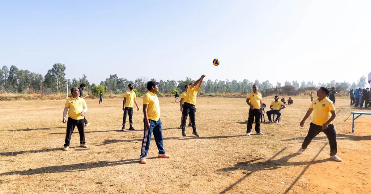 Tout savoir sur les championnats de volley : règles et formats