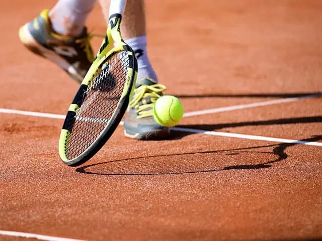 Les dernières actualités du volley : focus sur les compétitions