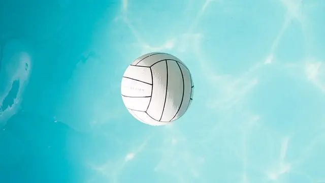Les dernières nouvelles du volley : tendances et résultats