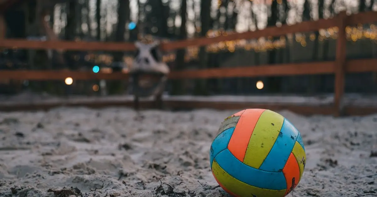 Les différents types de balles de volley expliqués