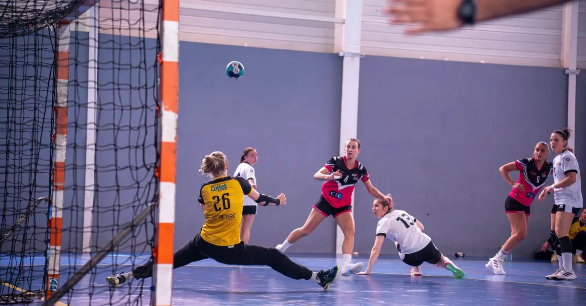 Les actualités du volley : résultats et analyses récentes