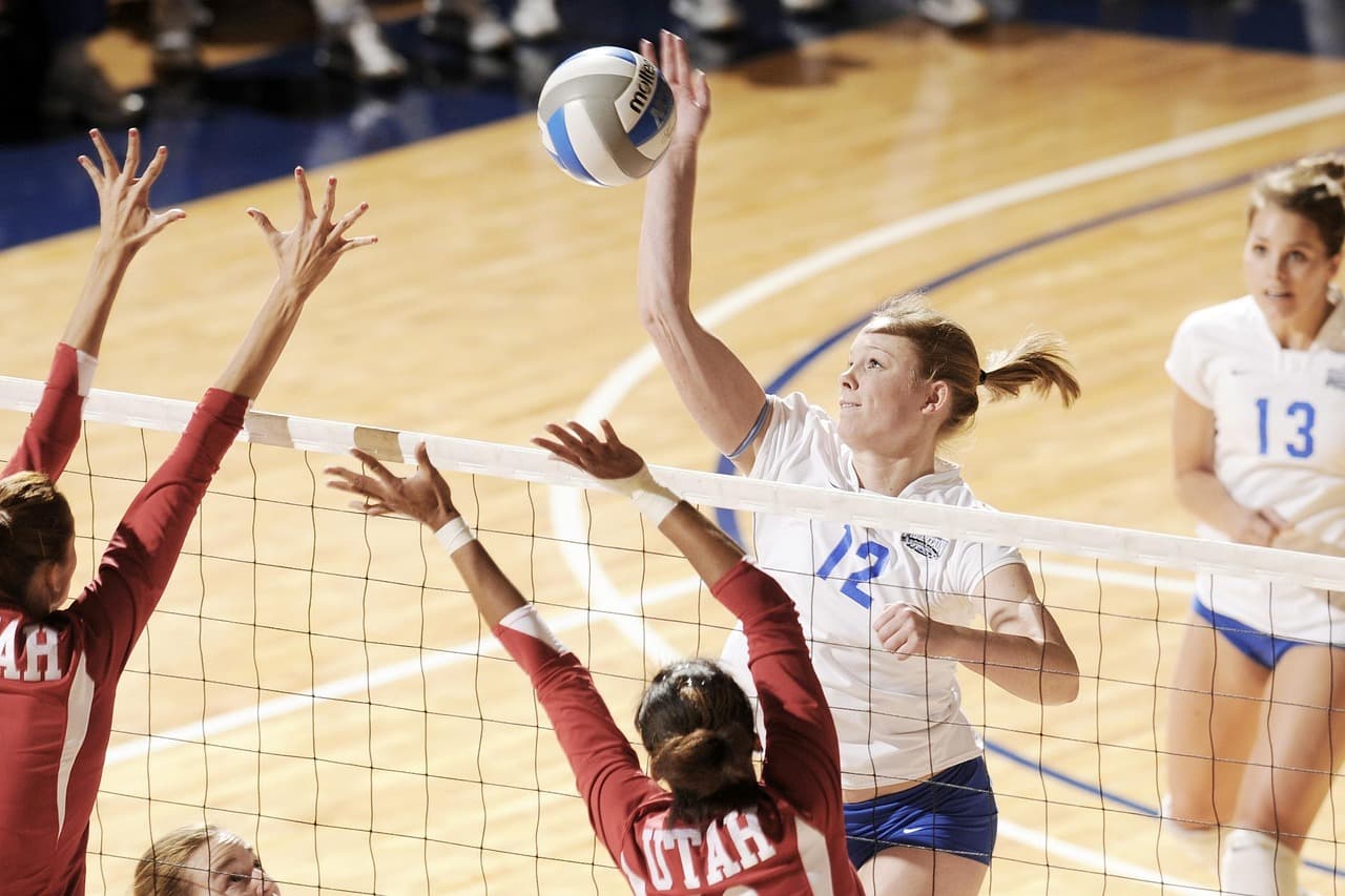 Les joueurs de volley à suivre cette saison